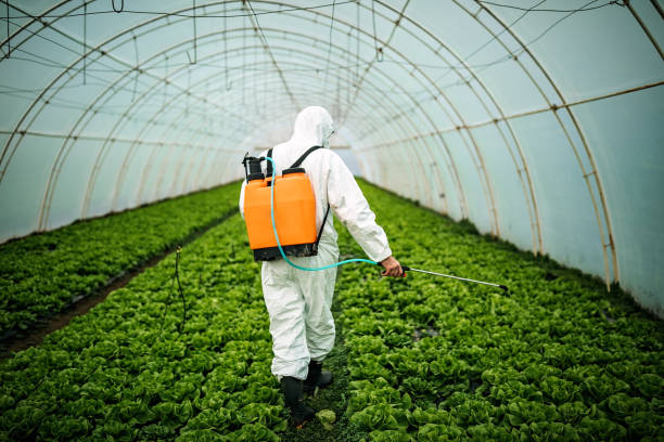 Best Mosquito Control Services  in Keene, NH