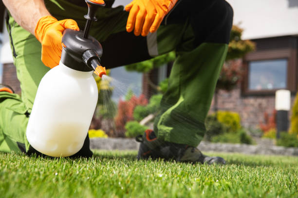 Best Affordable Pest Control Services  in Keene, NH