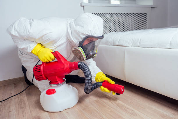 Best Termite Control Services  in Keene, NH