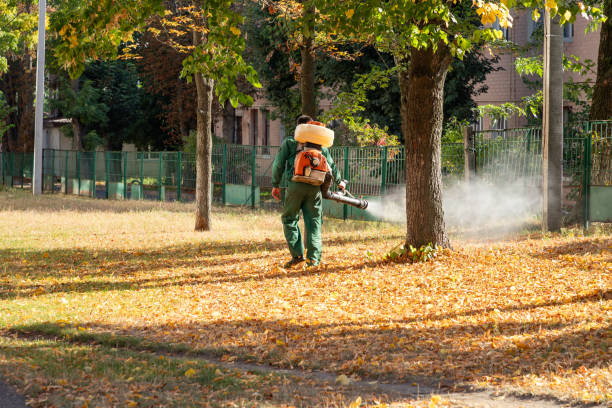 Bird Control in Keene, NH
